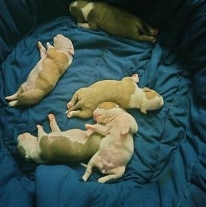 Meet your Posher, Harry